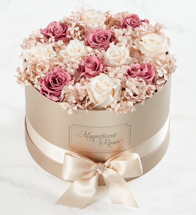 Vintage Rose Medley by Magnificent Roses®